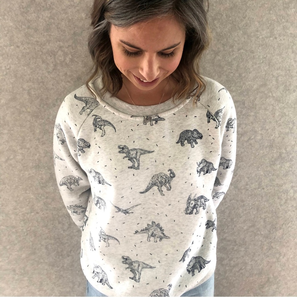 Dinosaur sweatshirt
